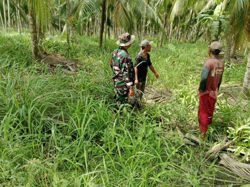 Babinsa Serka Ferry M. Barus Rutin Laksanakan Patroli Tapal Batas di Kelurahan Pulau Kijang