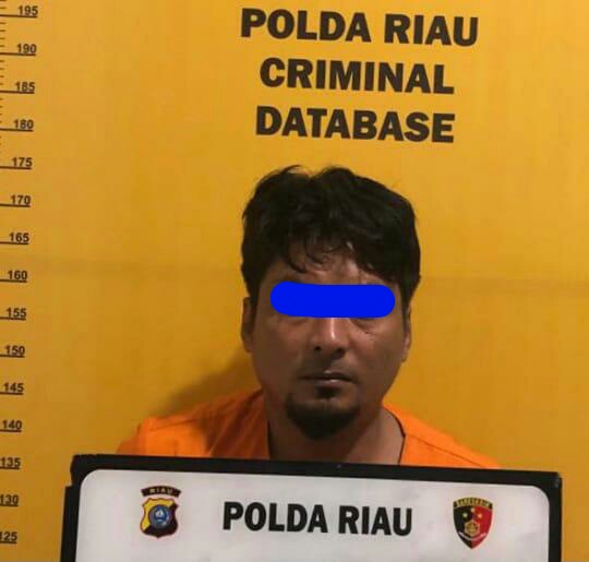Sempat DPO TS Alias Bob  Kini Berhasil Diringkus  Polisi Sempat DPO TS Alias Bob  Kini Berhasil Diringkus  Polisi