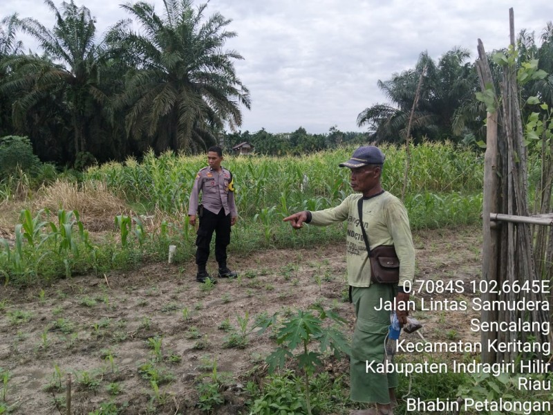 Polsek Keritang Gerakkan Warga Petalongan: Ubah Pekarangan Jadi Lumbung Pangan