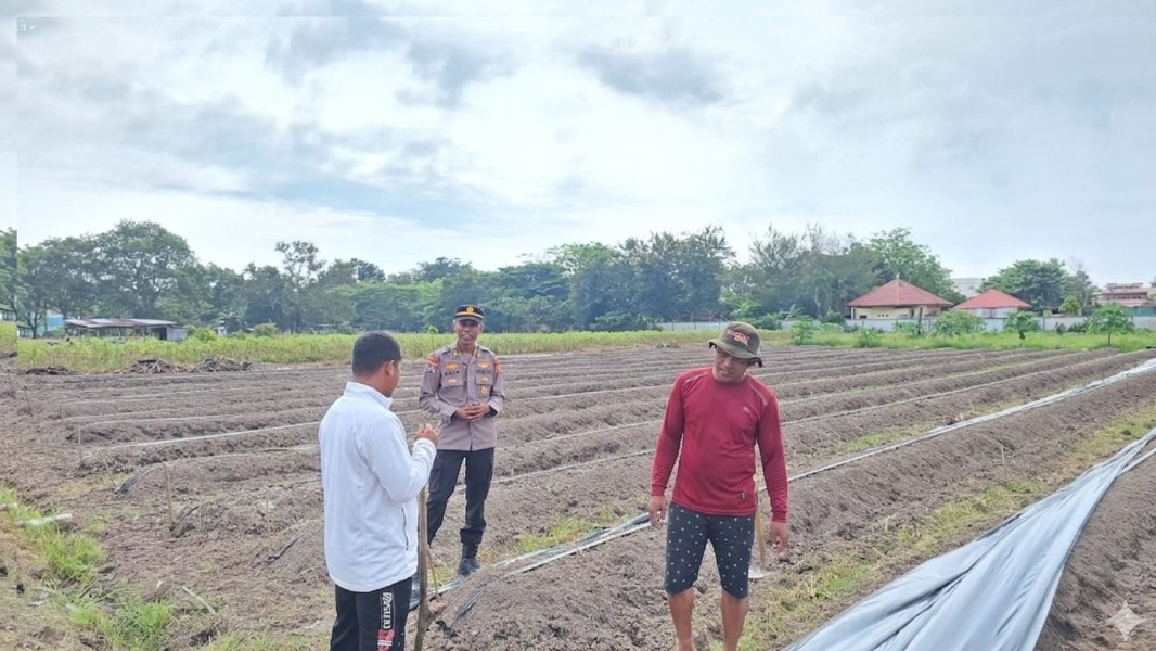 Kanit Binmas Polek Siak Melaksanakan Monitoring dan Pengecekan Lahan Pertanian di Wilayah Kecamatan Siak