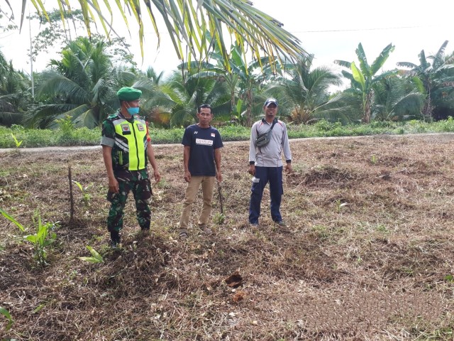 Babinsa Koramil 04/Kuindra, Serda Darman S. Zebua Himbauan Dampak Dari Karhutla