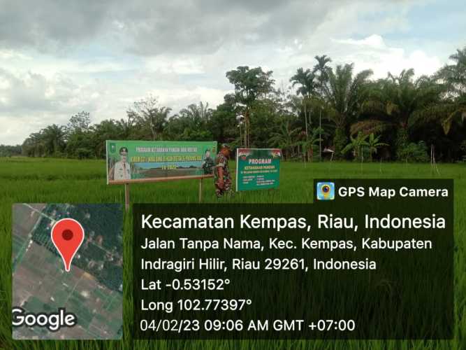 Rutinitas Babinsa Koramil 03/Tpl Monitoring Hanpangan Padi