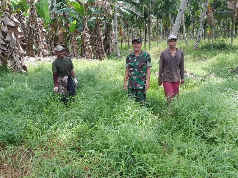 Patroli Tapal Batas di Parit 5 Reteh, Peltu Nofiandi: Titik Api Nihil, Hutan Kita Aman