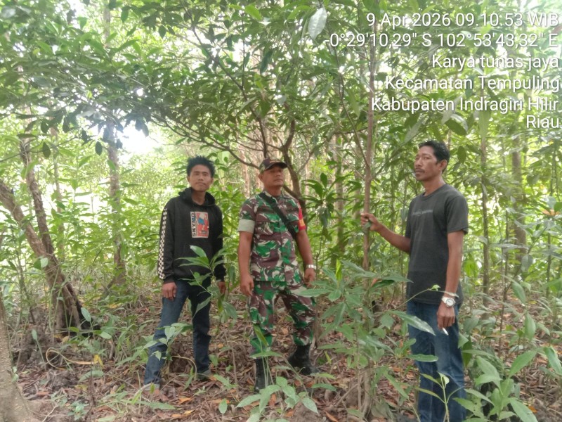 AMANKAN WILAYAH, BABINSA KORAMIL 03/TPL GELAR PATROLI TAPAL BATAS DI DESA KARYA TUNAS