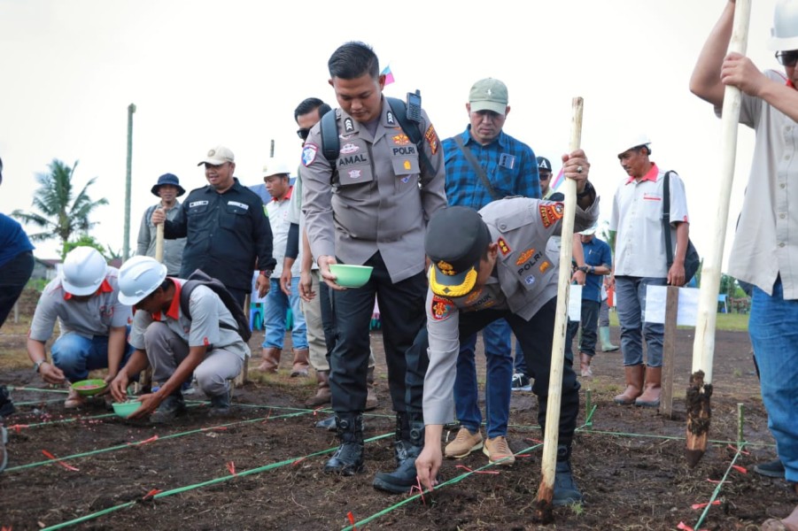 Bersama Bupati, Kapolres Inhil Tanam Jagung di Lahan THIP Estate Sengkawang Desa Tanjung Simpang