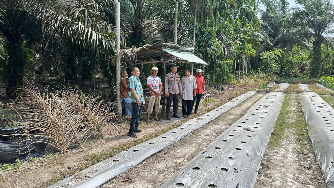 Bhabinkamtibmas Kampung Merempan Hulu Ajak Warga Dukung Ketahanan Pangan Melalui Penanaman Jagung