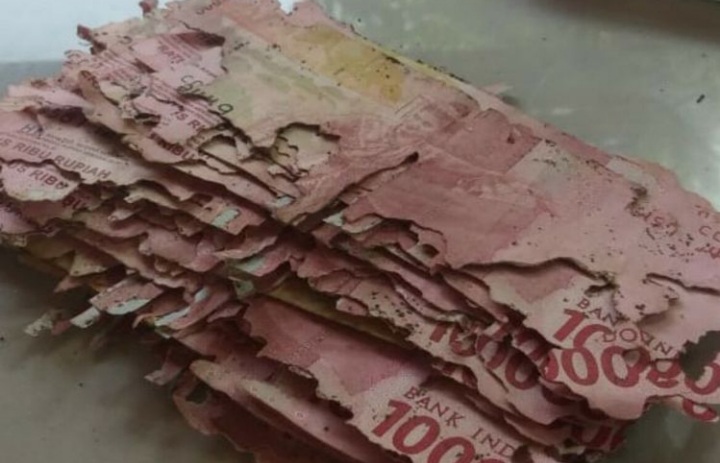 Waduh! Pria Ini Kaget, Uang Simpanan Rp 4 Juta, Habis Dimakan Rayap, Lihat Disini Penampakannya Waduh! Pria Ini Kaget, Uang Simpanan Rp 4 Juta, Habis Dimakan Rayap, Lihat Disini Penampakannya