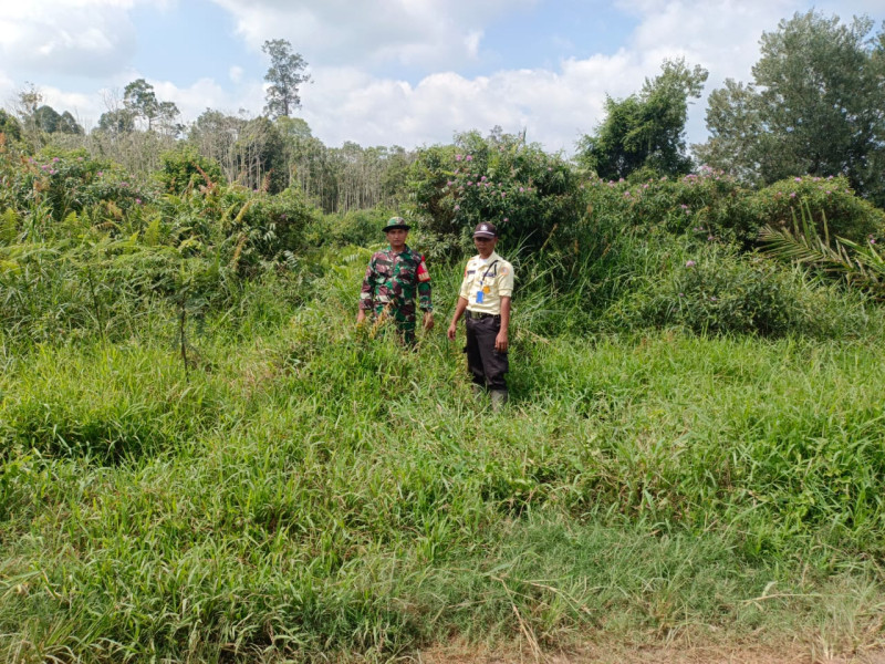 Babinsa 05/Gas Gencar Laksanakan Patroli Hutan Dan Lahan