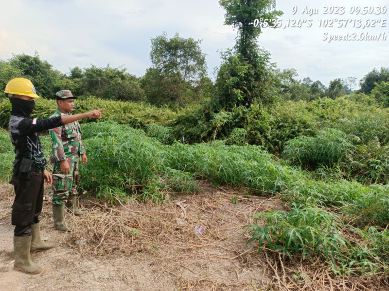 Bhabinsa Koramil 05/Gas Kodim 0314/Inhil Kopda Chandra Manto Gencar Lakukan Patroli Mitigasi Lahan Terbuka di Binaan