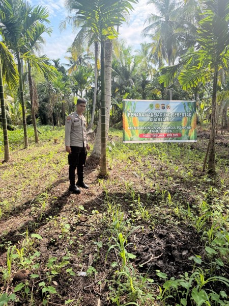 Om Bhabin Milenial Tembilahan, Saat Seragam Polisi Berjalan di Antara Daun Jagung
