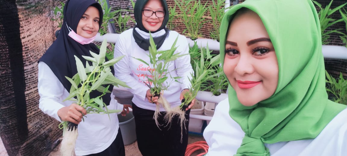 Perempuan Tani HKTI Bintan Genjot Program Tanaman Sayur Mendorong Ekonomi  Perempuan Tani HKTI Bintan Genjot Program Tanaman Sayur Mendorong Ekonomi