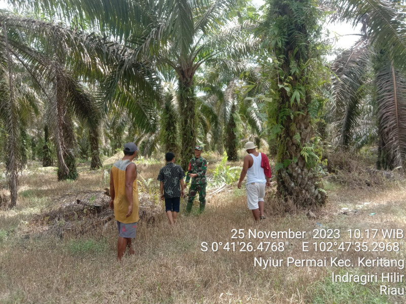 Babinsa Koramil 09/Kemuning Turun Ke Wilayah Untuk Meninjau Titik Api di Wilayah Binaan