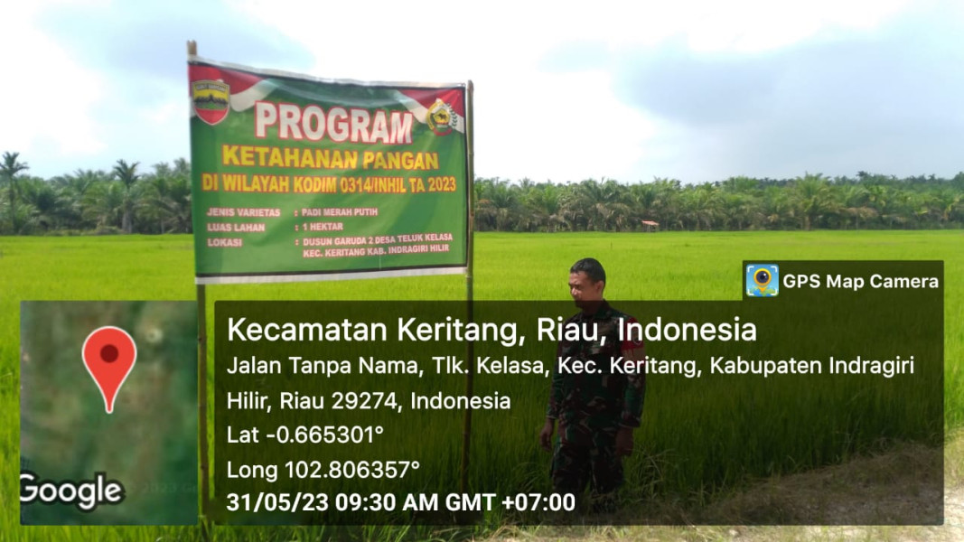 Koramil 09/Kemuning Lakukan Upaya Penaburan Bibit Padi