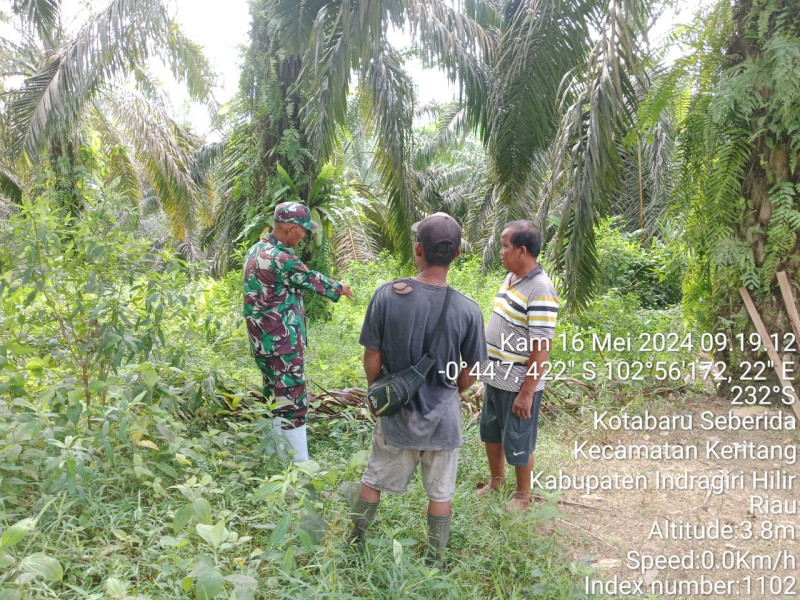 Kemarau Mulai Menghampiri, Patroli Karhutla Kembali di Gencarkan Koramil 09/Kemuning
