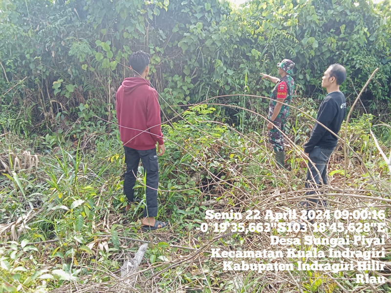Cegah Kebakaran, Babinsa Koramil 04/Kuindra Lakukan Patroli Karhutla di Binaan