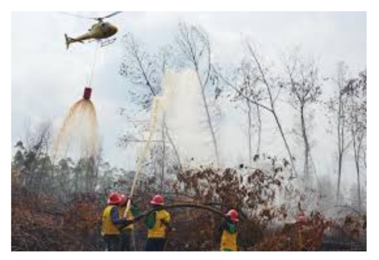 Lahan yang Terbakar di Riau Turun Signifikan, Apakah Karena Orang #dirumahaja?