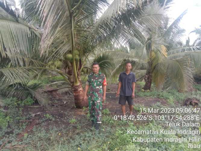 Babinsa Koramil 04/Kuindra Cegah Karhutla Melalui Patroli Rutin