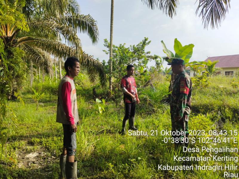 Turun Lakukan Patroli, Babinsa Koramil 09/Kemuning Pantau Lahan dan Hutan Warga