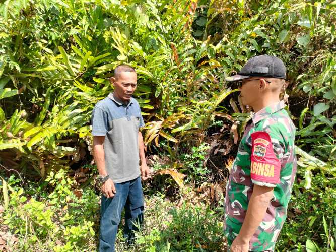 Babinsa Koramil 04/Kuindra Peduli Terhadap Lahan dan Hutan Bersama Masyarakat