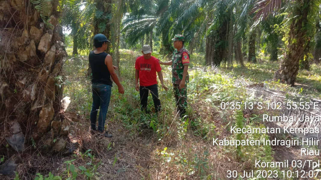 Cuaca Kembali Panas, Babinsa 03/Tpl Sertu Mardia Intens Lakukan patroli Dan Sosialisasi Karhutla