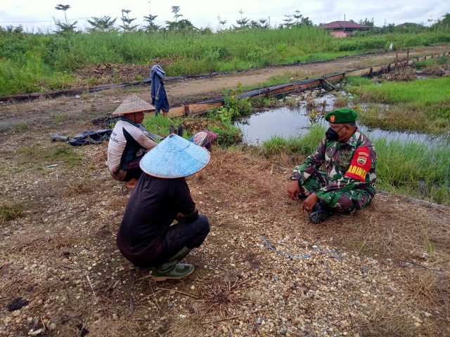 Babinsa Koramil 04/Kuindra Komsos dengan Masyarakat Petani