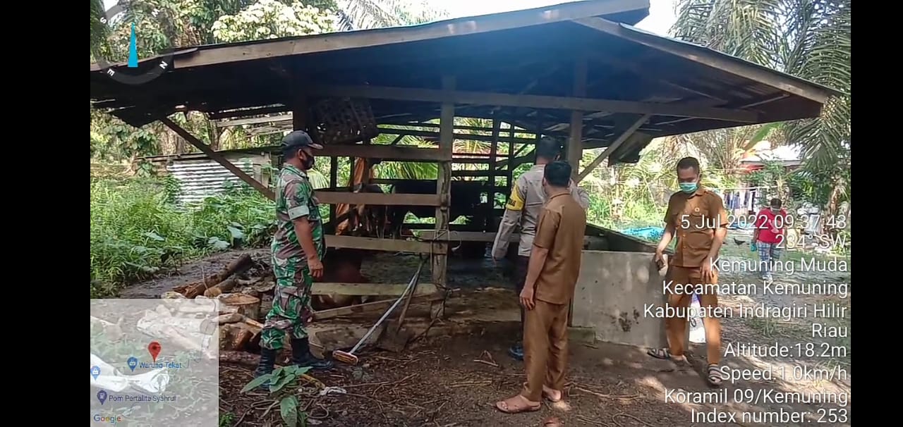 Danramil 09/Kemuning Laksanakan Operasi Aman Nusa II Lancang Kuning Dalam Menangani PMK