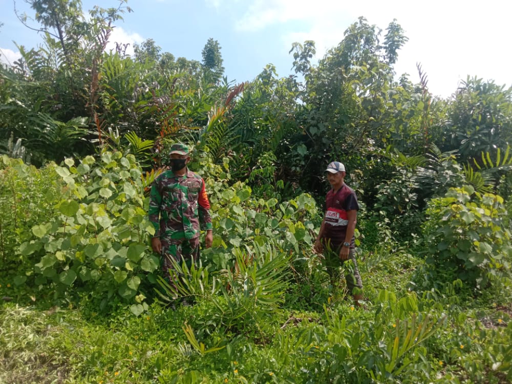 Bersama Masyarakat, Serda Mulyadi Rutin Lakukan Patroli dan Sosialisasi Karhutla