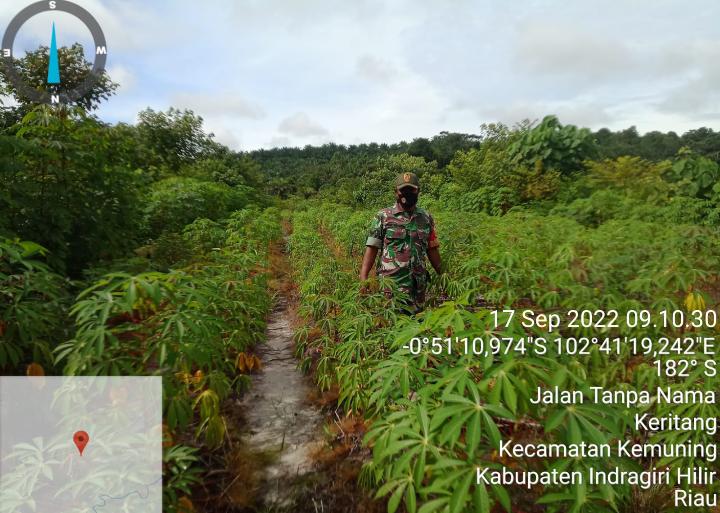 Kondisi Cuaca, Babinsa Koramil 09/Kemuning Lakukan Upaya Pembersihan Gulma