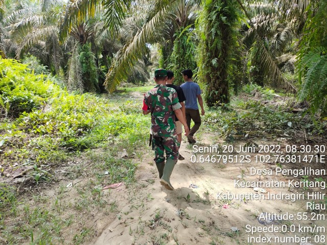 Babinsa Koramil 09/Kemuning, Serda Darmadi Terus Laksanakan Patroli Karlahut