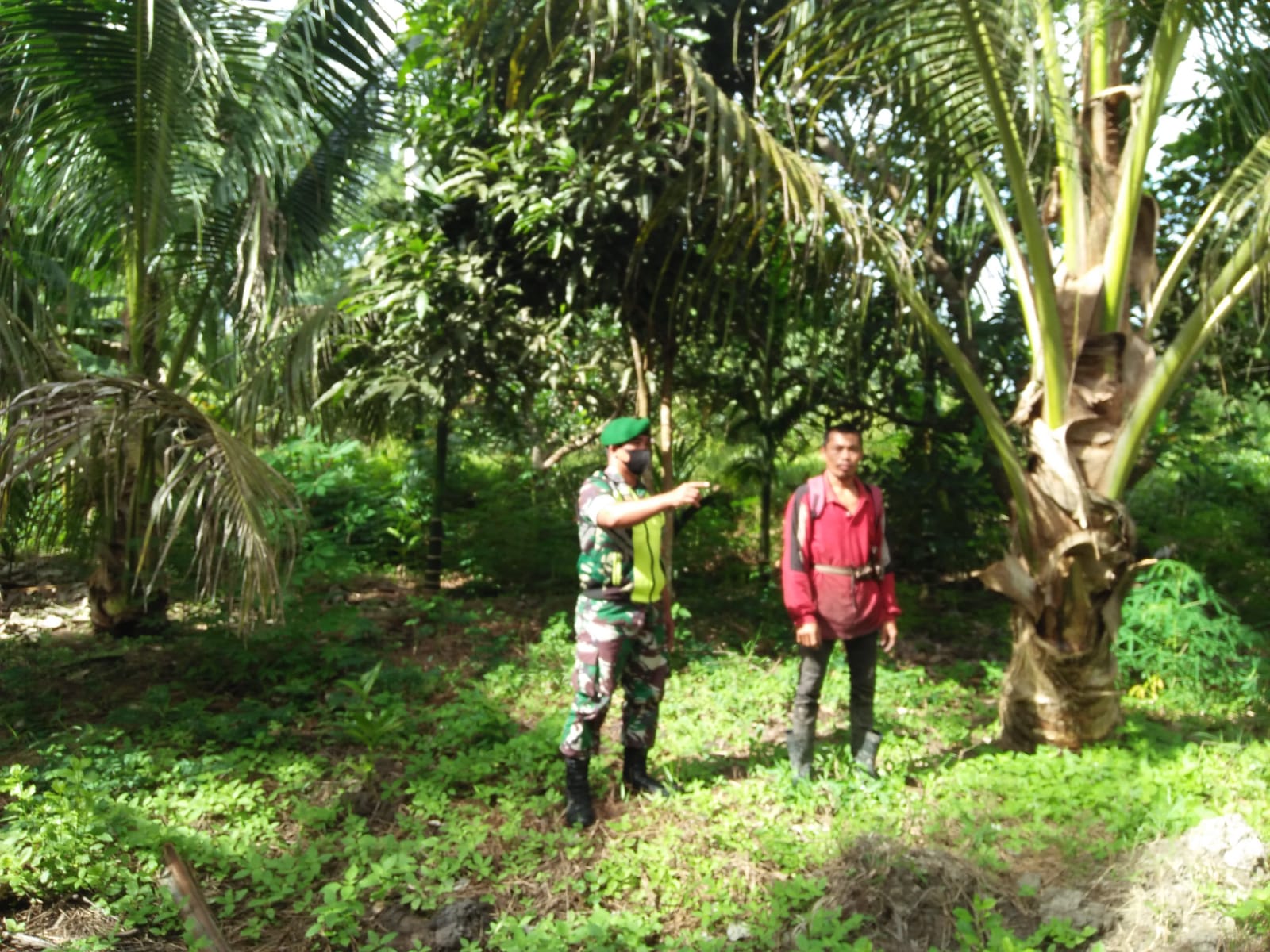 Cegah Karhutla, Babinsa Koramil 04/Kuindra Bersama Masyarakat Peduli Api Lakukan Patroli