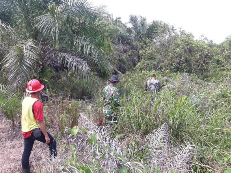 Babinsa Koramil 05/Gas Serma Eddy Hartono Rutin Laksanakan Patroli Karlahut