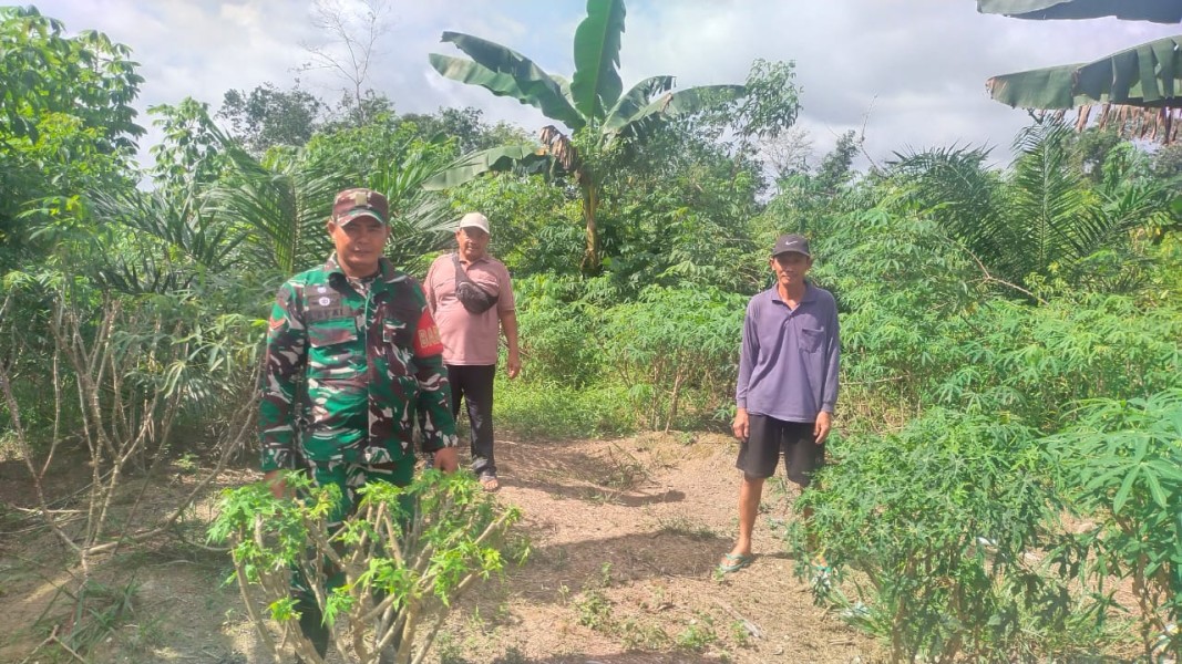 Babinsa Kopda Jalaluddin Pastikan Wilayah Kulim Jaya Bebas dari Karhutla, Wujudkan Lingkungan yang Aman dan Sehat