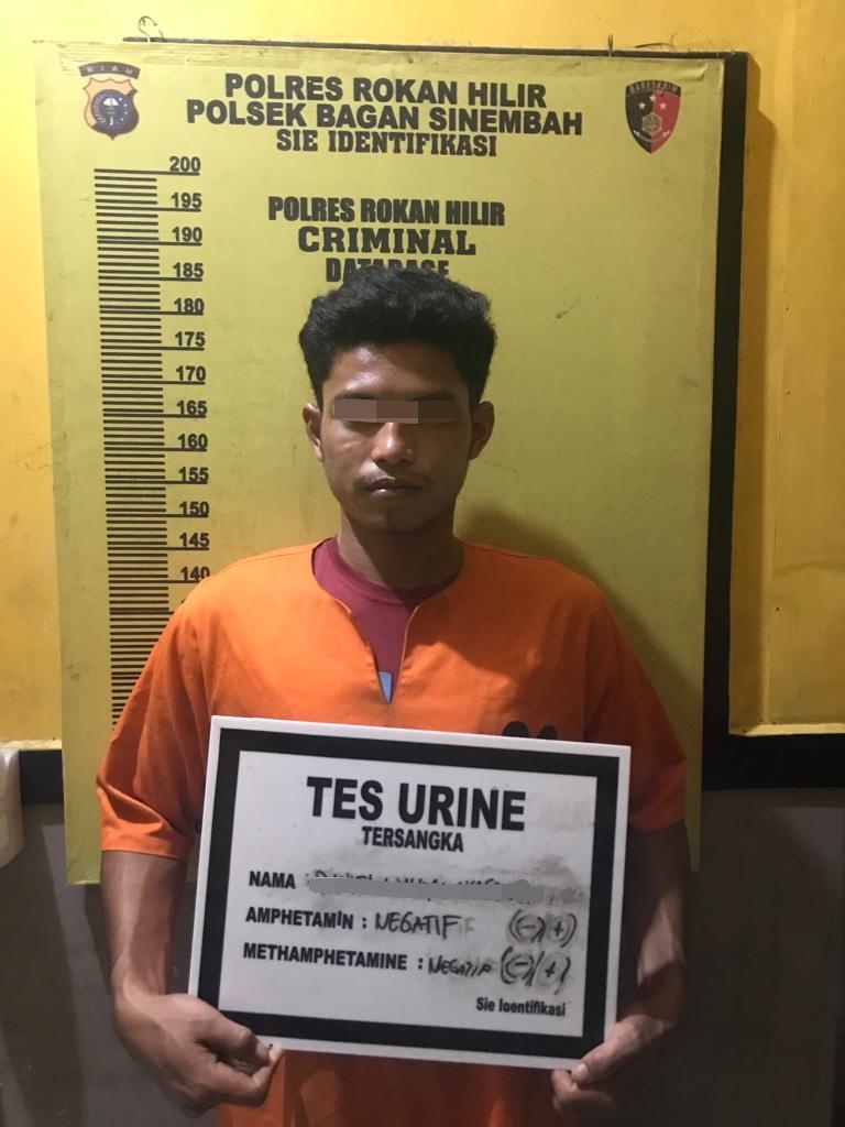 Ketahuan Ninja Buah Kelapa sawit PT Ivomas, Seorang Pria Dirohil  Dilaporkan ke Polsek Bagan Sinembah