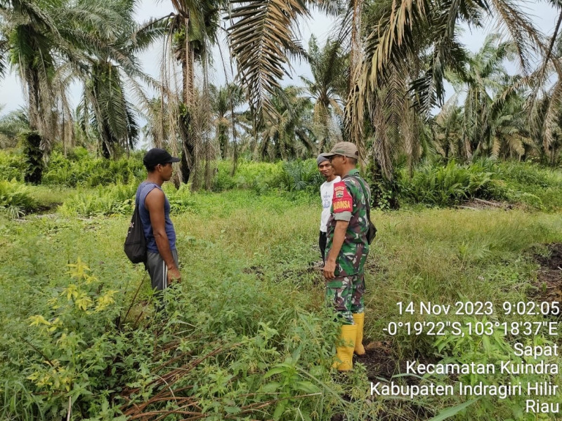 Babinsa Koramil 04/Kuindra Akan Terus Melakukan Patroli Karhutla Untuk Pencegahan Kebakaran