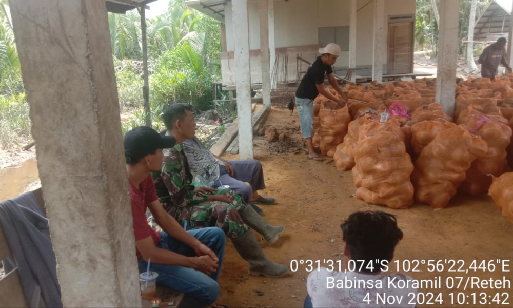 Koramil 07/Reteh Serka Yadi Yanto Turun Ke Wilayah Untuk Melihat Perkembangan Hasil Kelapa Masyarakat