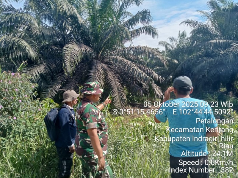 Babinsa Koramil 09/Kemuning Laksanakan Patroli Tapal Batas di Wilayah Desa Petalongan