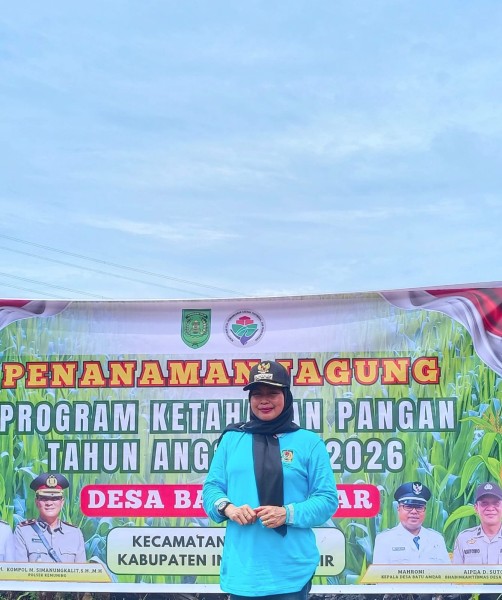 Di Ladang Batu Ampar, Camat Kemuning Tanam Jagung Tanam Cinta untuk Rakyat