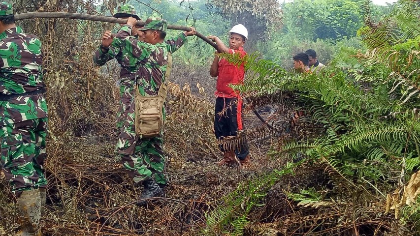 Empat Orang Babinsa Koramil 03/Tempuling Berjibaku Padamkan Api di Lahan Seluas 5 Hektar
