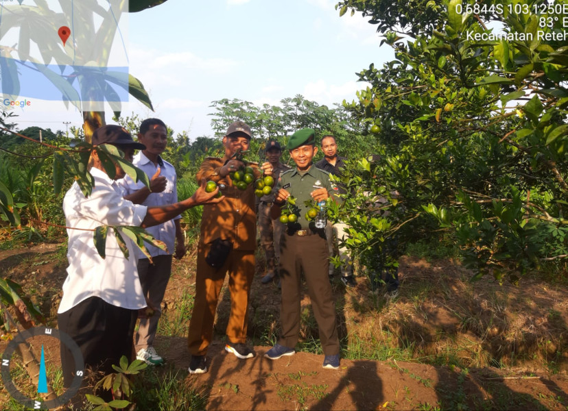 Koramil 07/Reteh Dampingi Peninjauan Hampangan Perkebunan Jeruk Milik Masyarakat
