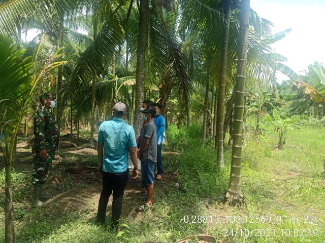 Babinsa Koramil 12/Batang Tuaka Patroli Agresif Karhutla di Kuala Sebatu 