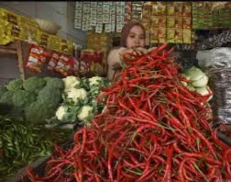 BPS: Listrik hingga Bahan Bakar Rumah Tangga di Riau Alami Deflasi