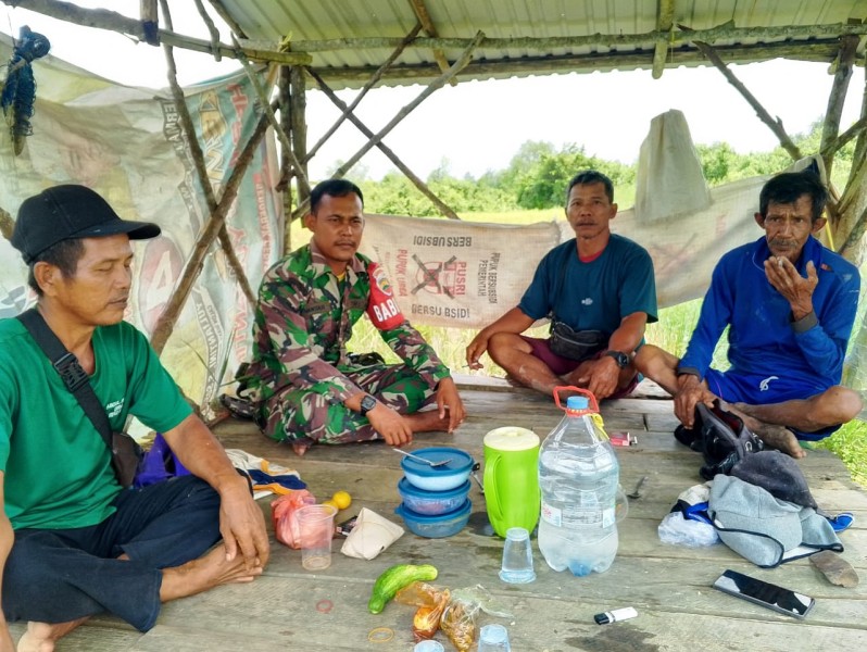 Babinsa Koramil 03/Tpl Jalin Komsos dengan Petani di Hamparan Sawah