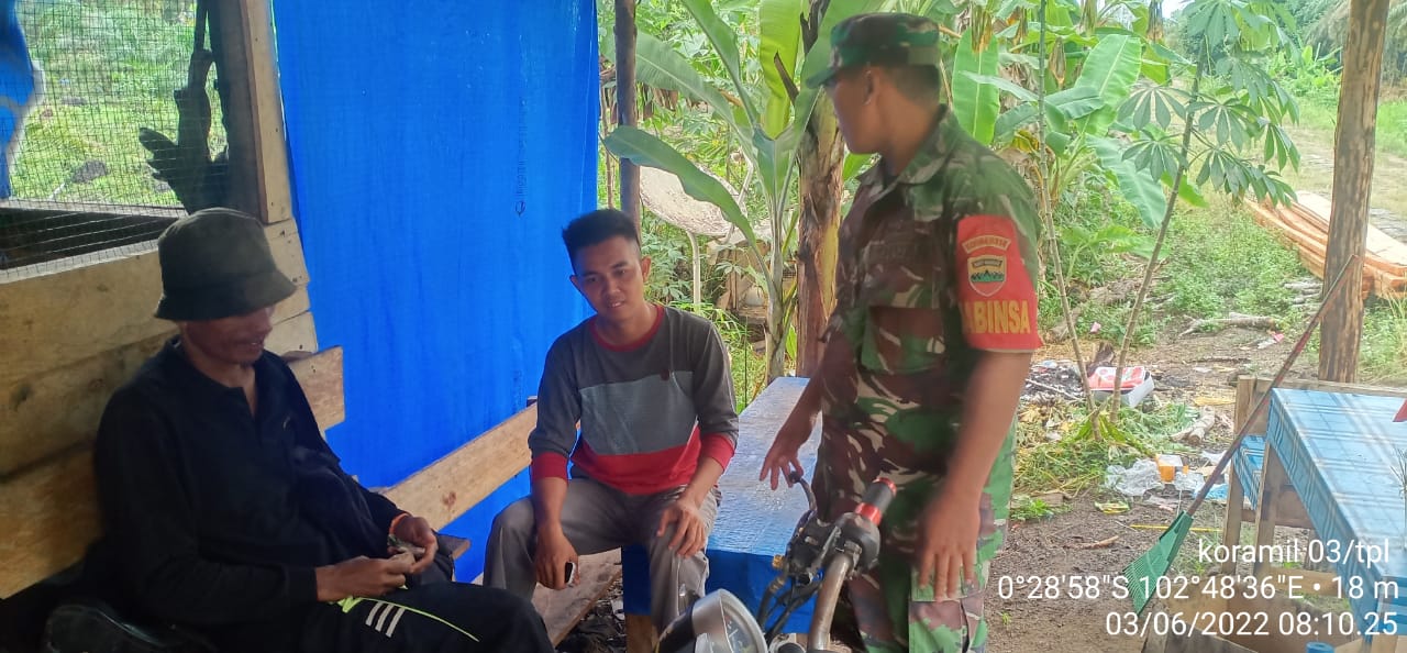 Komsos dengan Petani, Babinsa 03/Tempuling Sambangi Perkebunan Pisang Milik Ilham