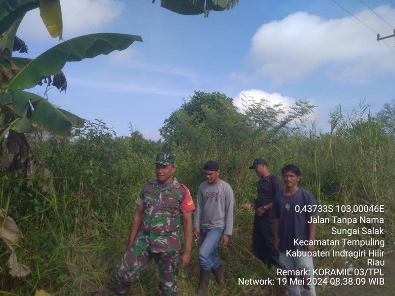 Tingkatkan Kewaspadaan, Babinsa Koramil 03/Tpl Gencar Laksanakan Patroli Dan Sosialisasi Karlahut