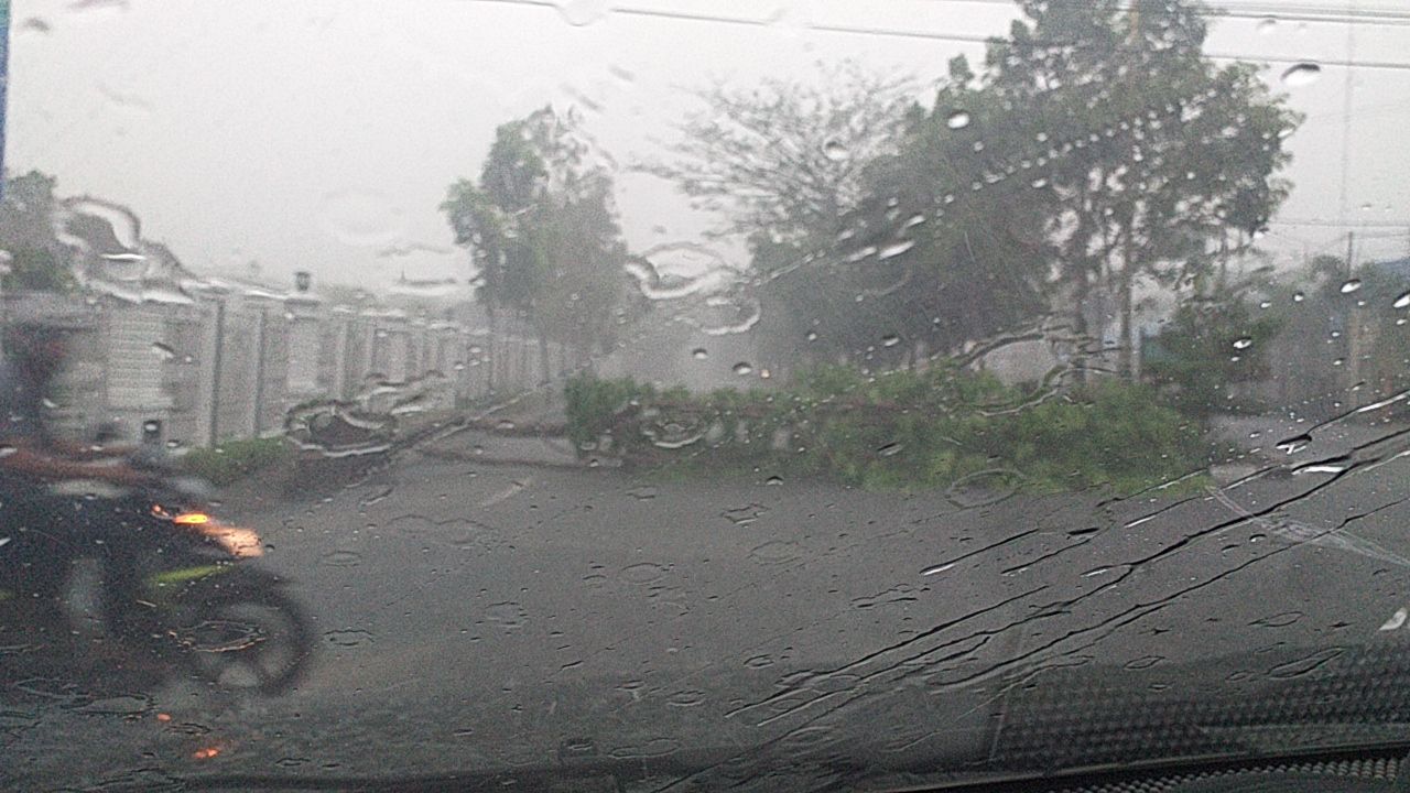 Akibat Hujan Deras Disertai Badai di Tembilahan, Dari Mulai Pohon Tumbang Sampai Atap Terbang