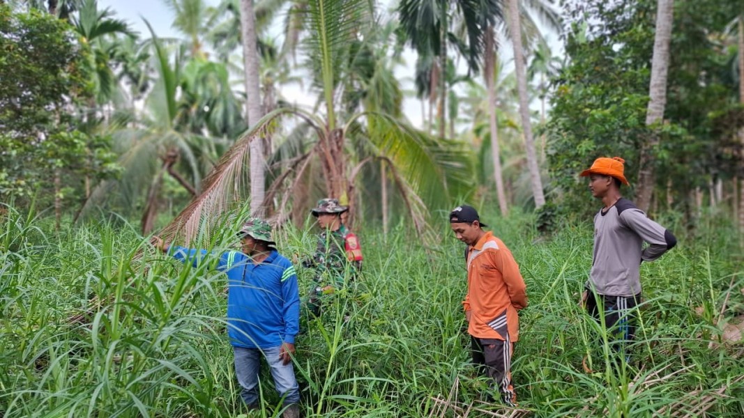 Babinsa Koramil 03/Tpl Laksanakan Patroli dan Sosialisasi Karhutla di Desa Kerta Jaya