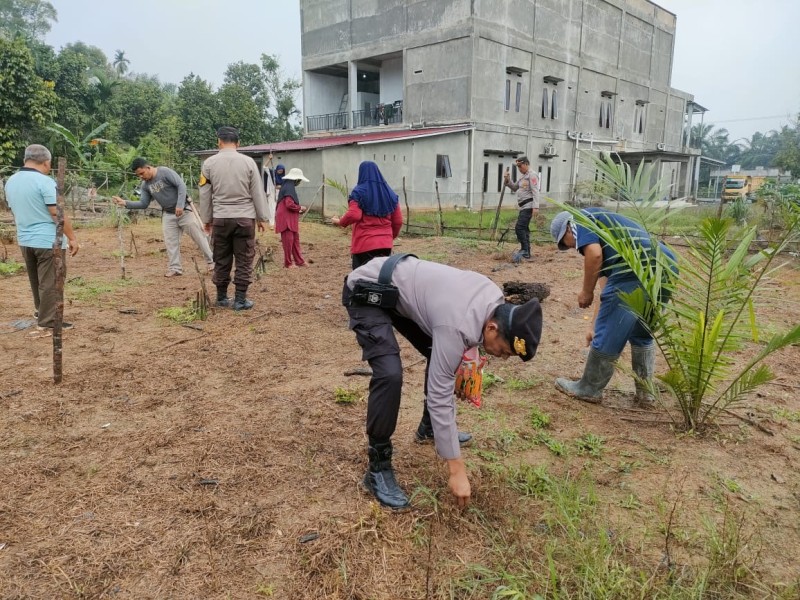 Kepala Desa Air Balui: Penanaman Jagung dengan Polsek Kemuning, Meningkatkan Kesejahteraan Masyarakat