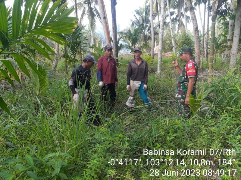 Babinsa Koramil 07/Reteh Pantau Titik Api Guna Cegah Kebakaran