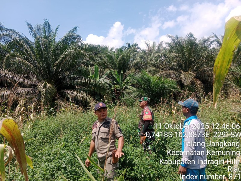 Kegiatan Patroli dan Sosialisasi: Babinsa Koramil 09/KMG Jaga Keamanan Wilayah