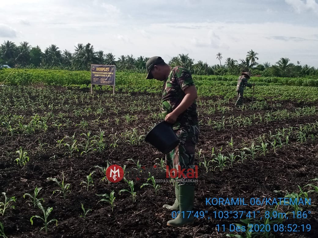 Subsatgas 5 Koramil 06/Kateman Kelola Lahan Karya Nyata di Tagaraja